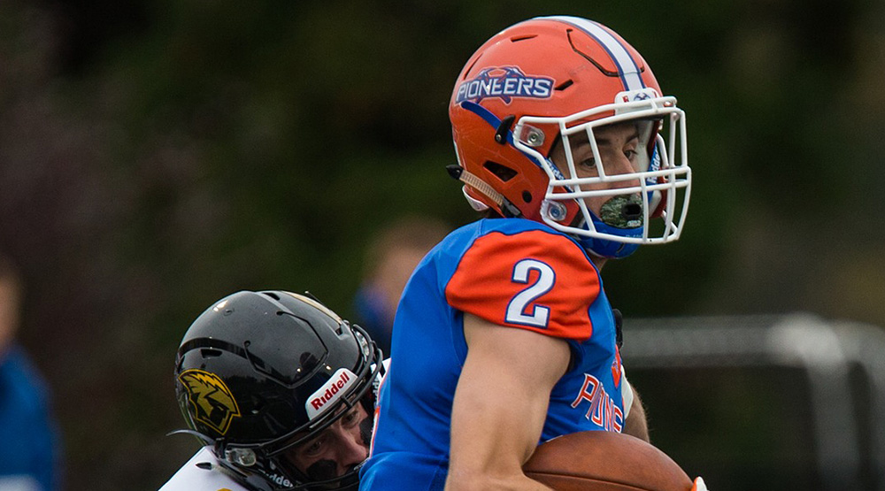 UW-Platteville stuffed